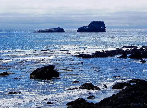 Moonlight Bay- Cayucos, San Luis Obispo California