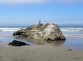 Pismo Beach California Photo Note Cards