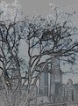 Chicago Photo Art Note Card-John Hancock Building