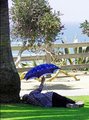 Malibu, Santa Monica, and Santa Barbara California Photo Note Cards