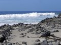 Laguna Beach California Photo Note Cards
